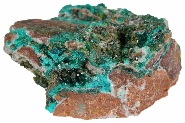 2" Dioptase Crystals on Dolomite - Mpita Prospect, Congo